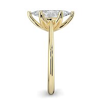 Tulip Cathedral Solitaire with 6 Claws