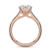 Tulip Cathedral Solitaire with 6 Claws