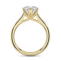 Tulip Cathedral Solitaire with 6 Claws