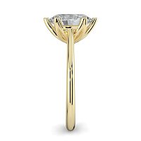Tulip Cathedral Solitaire with 6 Claws