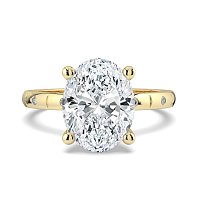 Ariel with Hammer set Diamonds on Band