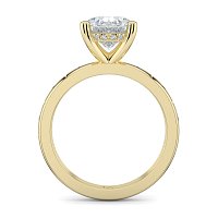 Ariel with Hammer set Diamonds on Band