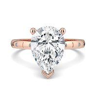 Ariel with Hammer set Diamonds on Band