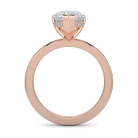 Ariel with Hammer set Diamonds on Band