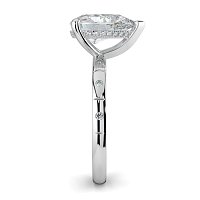 Ariel with Hammer set Diamonds on Band