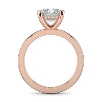 Ariel with Hammer set Diamonds on Band