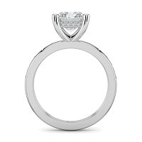 Ariel with Hammer set Diamonds on Band