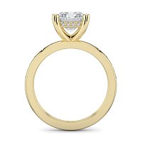 Ariel with Hammer set Diamonds on Band