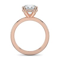 Ariel with Hammer set Diamonds on Band