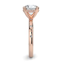 Ariel with Hammer set Diamonds on Band