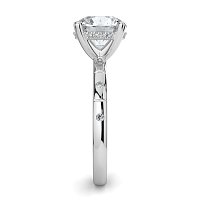 Ariel with Hammer set Diamonds on Band