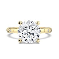 Ariel with Hammer set Diamonds on Band