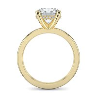 Ariel with Hammer set Diamonds on Band