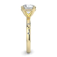 Ariel with Hammer set Diamonds on Band