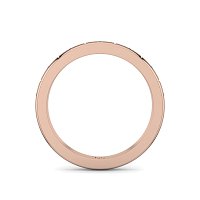 Ariel Wedding Ring with Hammer set Diamonds on Band