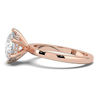 Ariel Engagement Ring with 6 Curved Claws