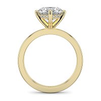 Ariel Engagement Ring with 6 Curved Claws
