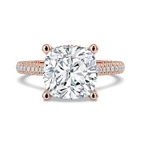 Cathedral with Hidden Halo and Diamond Pave Band