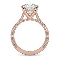 Cathedral with Hidden Halo and Diamond Pave Band