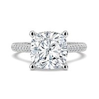 Cathedral with Hidden Halo and Diamond Pave Band