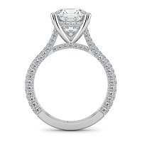 Cathedral with Hidden Halo and Diamond Pave Band