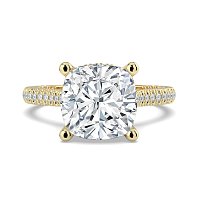 Cathedral with Hidden Halo and Diamond Pave Band