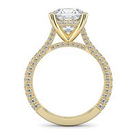 Cathedral with Hidden Halo and Diamond Pave Band