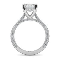 Cathedral with Hidden Halo and Diamond Pave Band