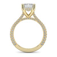 Cathedral with Hidden Halo and Diamond Pave Band