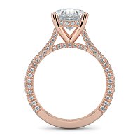 Cathedral with Hidden Halo and Diamond Pave Band