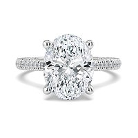 Cathedral with Hidden Halo and Diamond Pave Band