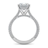Cathedral with Hidden Halo and Diamond Pave Band