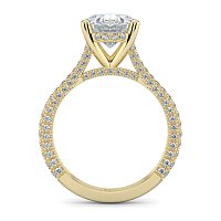 Cathedral with Hidden Halo and Diamond Pave Band