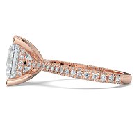 Cathedral with Hidden Halo and Diamond Pave Band