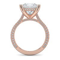 Cathedral with Hidden Halo and Diamond Pave Band