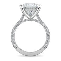 Cathedral with Hidden Halo and Diamond Pave Band