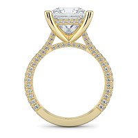 Cathedral with Hidden Halo and Diamond Pave Band