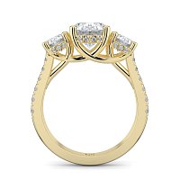 Dalia 3 Stones with Diamonds on Band