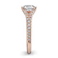 Cathedral with Diamonds on Split Band