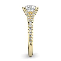 Cathedral with Diamonds on Split Band