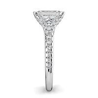 Cathedral with Diamonds on Split Band