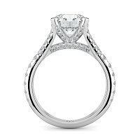 Cathedral with Diamonds on Split Band