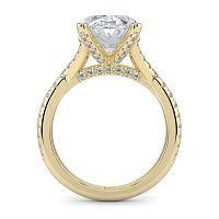 Cathedral with Diamonds on Split Band