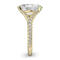 Cathedral with Diamonds on Split Band