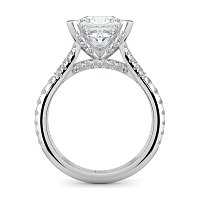 Cathedral with Diamonds on Split Band