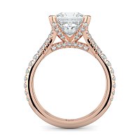 Cathedral with Diamonds on Split Band