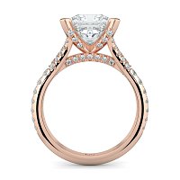 Cathedral with Diamonds on Split Band
