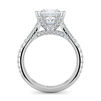 Cathedral with Diamonds on Split Band