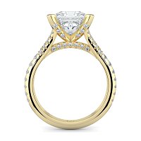 Cathedral with Diamonds on Split Band