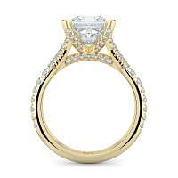 Cathedral with Diamonds on Split Band